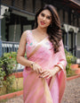 Soft Baby Pink Plain Chiffon Saree with Gold Zari Border, Geometric Embroidered Blouse & Tassel Detailing